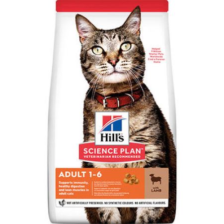 Hills Lamb Kuzulu Yetişkin Kedi Maması 10 Kg + Schesir Stix Krema Kedi Ödülü