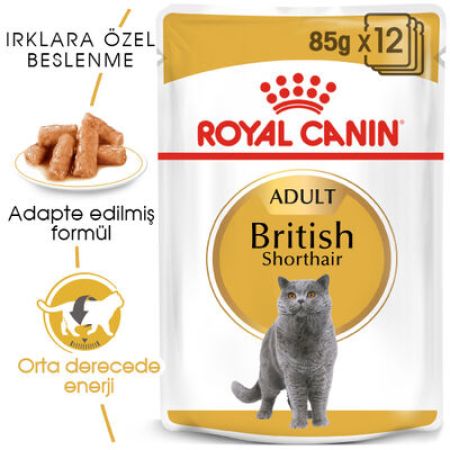 Royal Canin Pouch British Shorthair Irkına Özel Yaş Kedi Maması 85 Gr - BOX - 12 Al 10 Öde