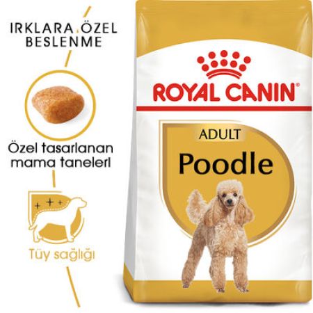 Royal Canin Poodle Adult Yetişkin Köpek Irk Maması 3 Kg + Temizlik Mendili