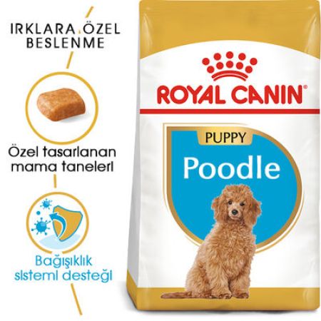 Royal Canin Poodle Puppy Yavru Köpek Irk Maması 3 Kg + Temizlik Mendili