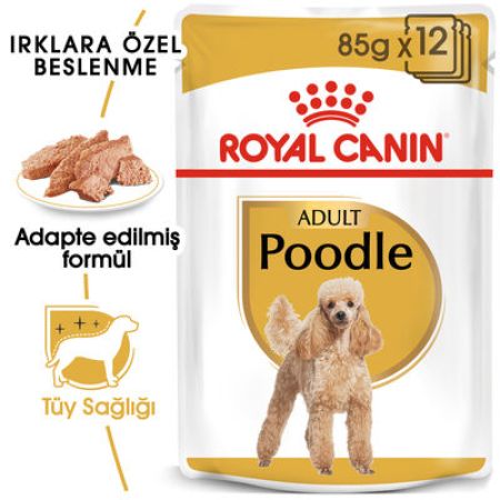 Royal Canin Pouch Poodle Irkı Özel Yaş Köpek Maması 85 Gr - BOX - x 12 Adet
