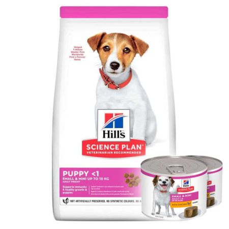 Hills Small Mini Puppy Küçük Irk Kuzulu Yavru Köpek Maması 6 Kg + 2 Adet Hills 200 Gr Yaş Mama