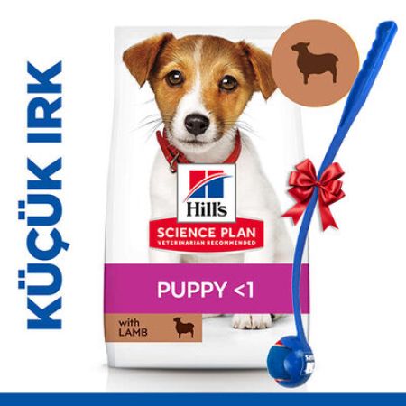 Hills Small & Miniature Puppy Küçük Irk Kuzulu Yavru Köpek Maması 6 Kg + Top Fırlatıcı Oyuncak