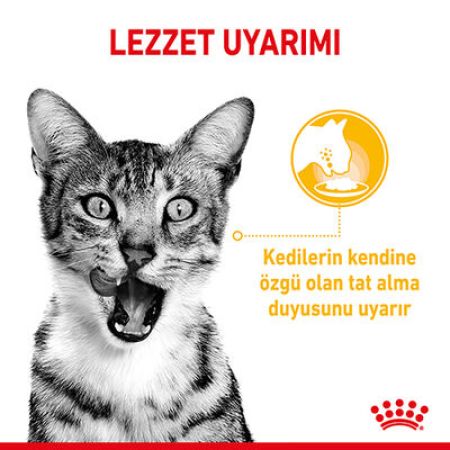 Royal Canin Sensory Taste Pouch Yaş Kedi Maması 85 Gr  x 6 Adet