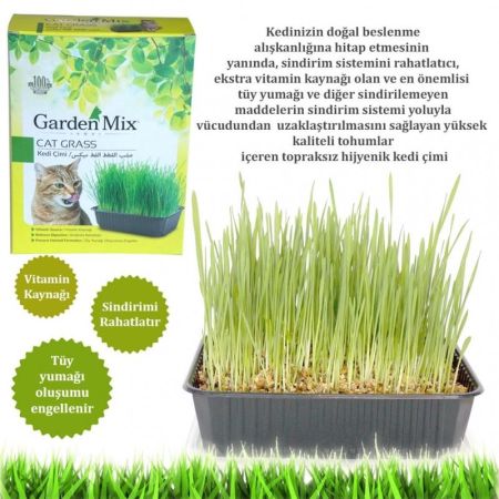 Garden Mix Kedi Çimi 