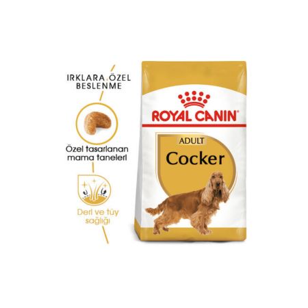 Royal Canin Cocker Irka Özel Yetişkin Köpek Maması 3 kg