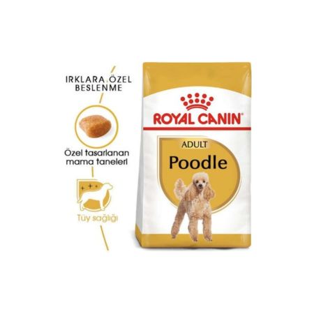 Royal Canin Poodle Yetişkin Köpek Maması 3 kg
