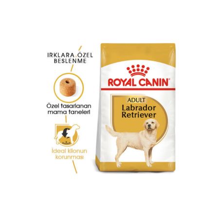 Royal Canin Labrador Retriever Yetişkin Köpek Maması 12 kg