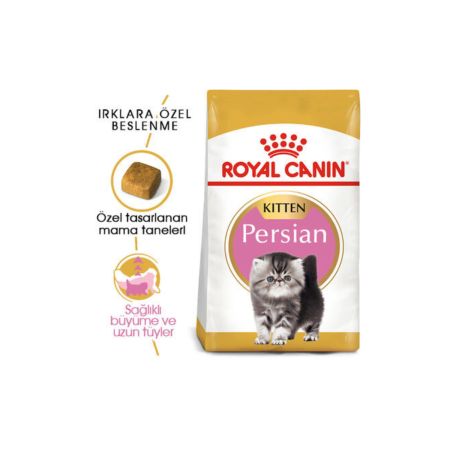 Royal Canin Persian İran Kedisi Yavru Kedi Maması 2 kg