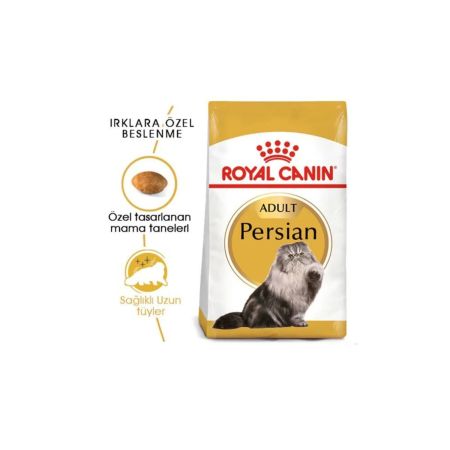 Royal Canin Persian İran Kedisi Yetişkin Kedi Maması 4 kg