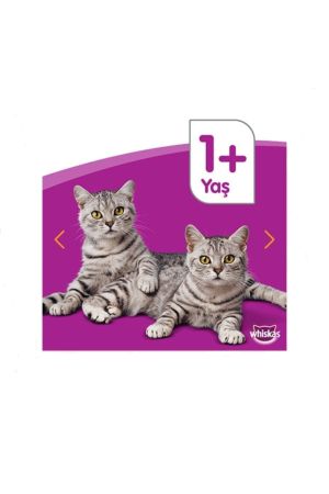 Whiskas Pouch Sığır Etli Kedi Maması 24x100g
