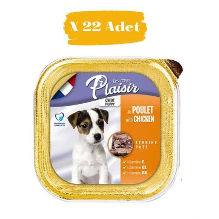 Plaisir Pate Tavuklu Yavru Köpek Konservesi 150 Gr (22 Adet)