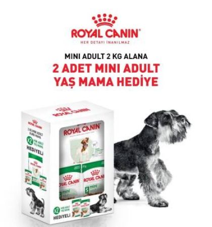 Royal Canin Küçük Irk Yetişkin Köpek Maması 2 Kg + 2 Adet Pouch Hediyeli