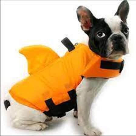 Lionpet Shark Köpek Can Yeleği L Turuncu