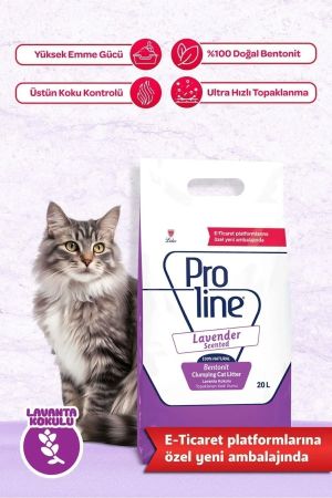 Proline Lavanta Kokulu Bentonit Kedi Kumu 20 Lt