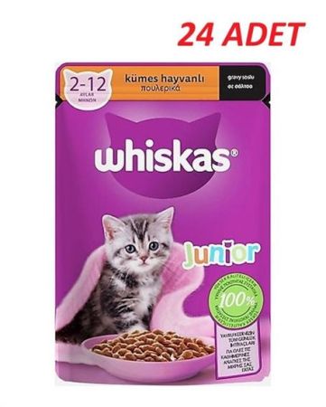 Whiskas Pouch Sos İçinde Kümes Hayvanlı Yavru Kedi Konservesi 85 Gr*24 Adet