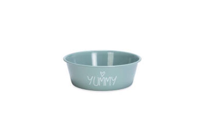 Beeztees Yavru Köpek Mama Su Kabı, Paslanmaz Çelik, Kaymaz Taban, Turkuaz, 13cm, 470ml