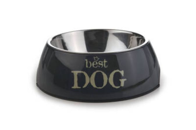 Beeztees Köpek Mama Su Kabı, Paslanmaz Çelik, 22cm, 700ml