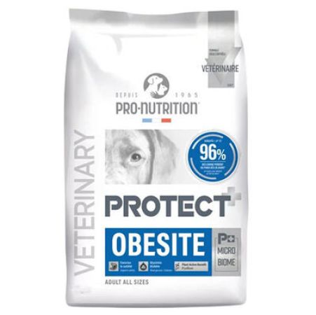 Pro Nutrition Protect Veterinary Obesite Kilo Kontrolü İçin Köpek Maması 12 Kg