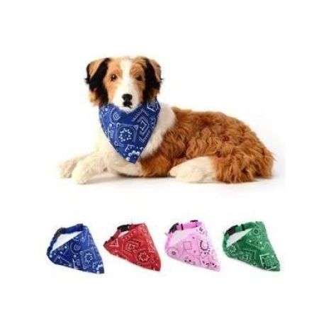 Lionpet Fularlı Köpek Tasması 25 - 48 Yeşil