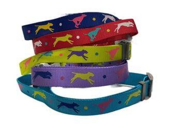 Nunbell  Desenli Köpek Boyun Tasması 40-60 Cm