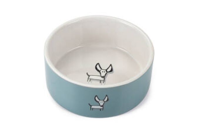 Beeztees Köpek Mama Su Kabı, Seramik, Beyaz Turkuaz, 18,5cm, 1400ml