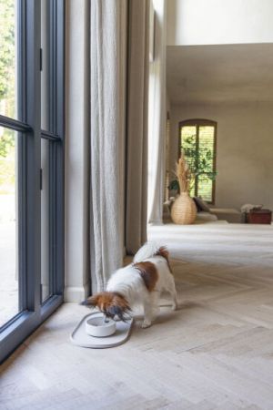 Beeztees DBL Köpek Mama Su Kabı, Bambu, Bej, 14cm, 410ml