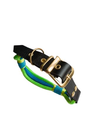 Köpek Boyun Tasması/dog Collar