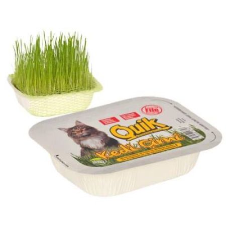 Quik Fileli Doğal Kedi Çimi