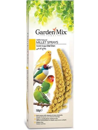 Gardenmix Platin Sarı Dal Darı