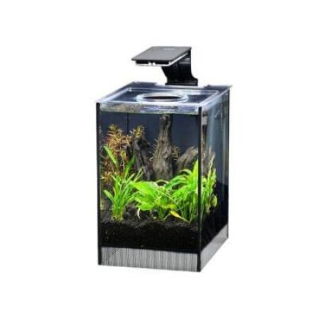 Anubias Danio 17 Nano Akvaryum Siyah 9 Lt 17x22x26,5 Cm