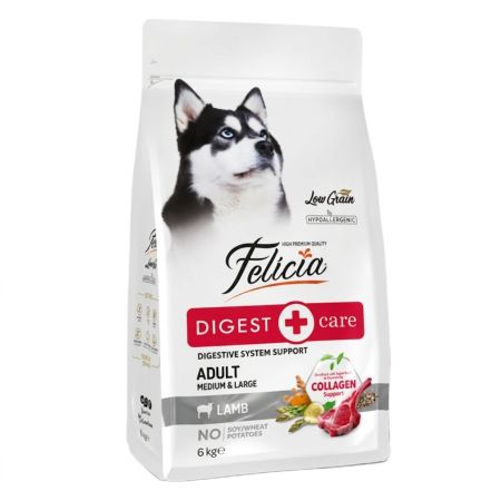 Felicia Hipoalerjenik Az Tahıllı Kuzu Etli Orta ve Büyük Irk Yetişkin Köpek Maması 6 kg