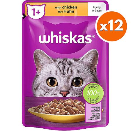 Whiskas Pouch in Jelly Tavuk Etli Kedi Yaş Maması 85 Gr x 12 Adet