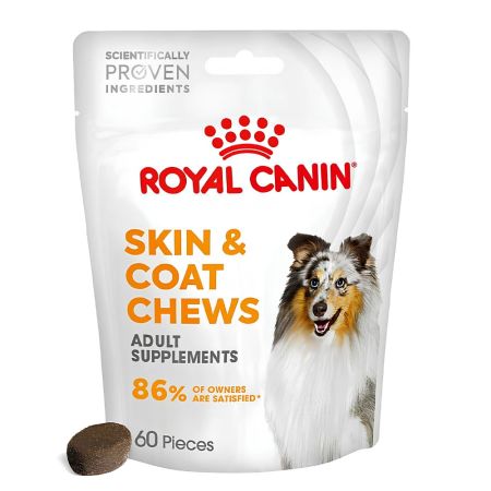 Royal Canin Deri ve Tüy Sağlığı Destekleyici Yetişkin Köpek Ödül Maması 240 gr