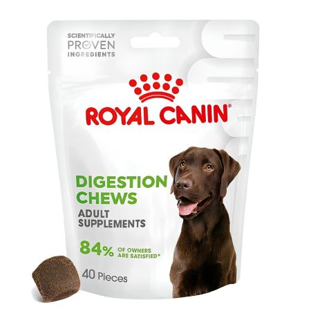 Royal Canin Sindirim Sistemini Destekleyen Yetişkin Köpek Ödül Maması 160 gr