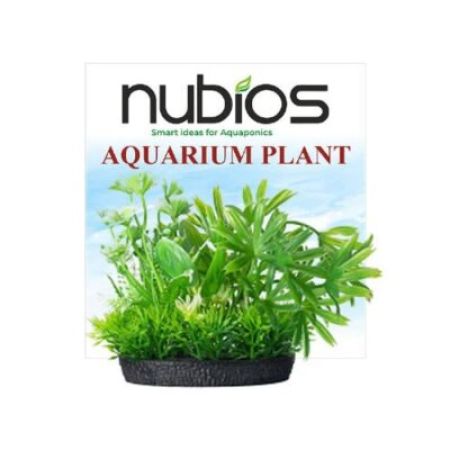 Nubios Kare Tabanlı Plastik Bitki 10 Cm