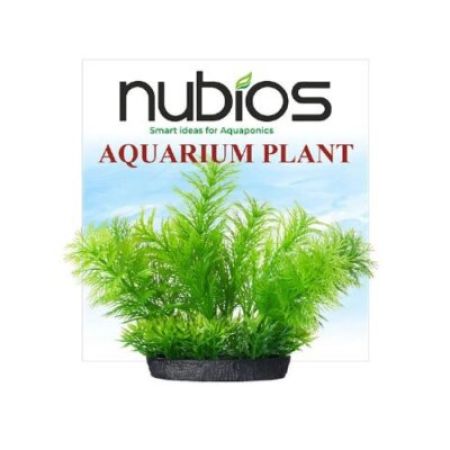 Nubios Kare Tabanlı Plastik Bitki 10 Cm