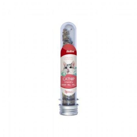 Bioline Catnip Doğal Kedi Otu 45 ml