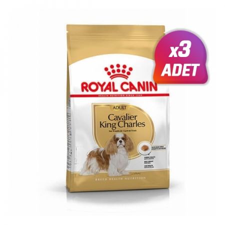 3 Adet - Royal Canin Cavalier King Charles Yetişkin Köpek Maması 3 Kg
