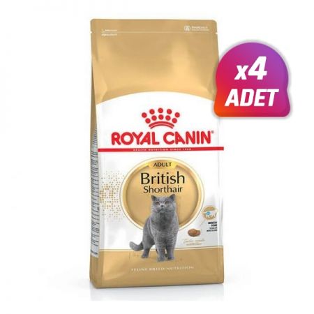 4 Adet - Royal Canin British Shorthair Adult Yetişkin Kedi Maması 2 Kg
