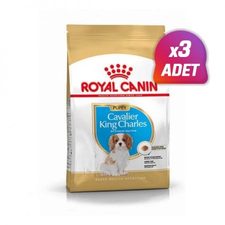 3 Adet - Royal Canin Cavalier King Charles Junior Yavru Köpek Maması 1.5 Kg