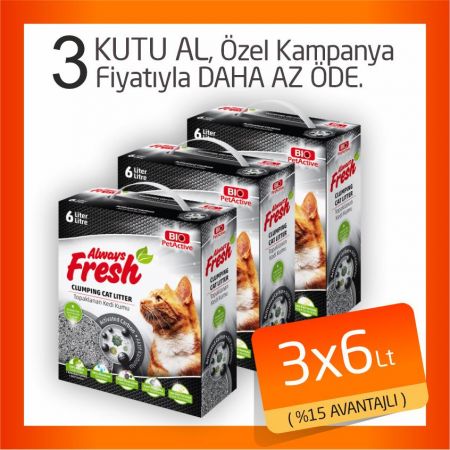 Pet Active Always Fresh Aktif Karbonlu Topaklanan Bentonite Kedi Kumu 3x6 Lt