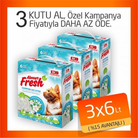 Pet Active Always Fresh Ferah Kokulu Topaklanan Bentonite Kedi Kumu 3x6 Lt