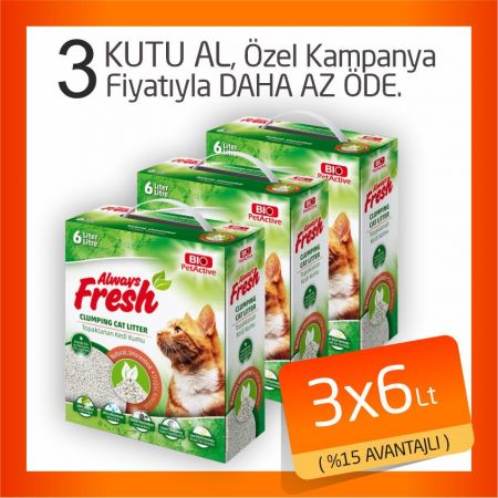Pet Active Always Fresh Doğal Kokusuz Topaklanan Bentonite Kedi Kumu 3x6 Lt