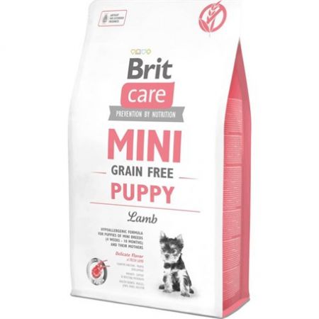 Brit Care Mini Kuzu Etli Yavru Köpek Mamasi 2 Kg