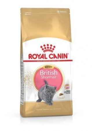 Royal Canin British Shorthair Kitten Kedi Kuru Maması 2 Kg
