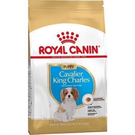 Royal Canin Cavalier King Charles Junior Yavru Köpek Maması 1,5 Kg