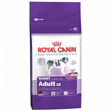Royal Canin Giant Adult Dev Irk Yetişkin Köpek Maması 15 Kg