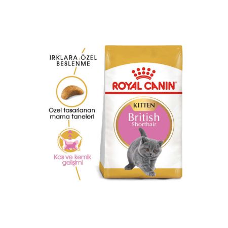Royal Canin British Shorthair Yavru Kedi Maması 2 kg