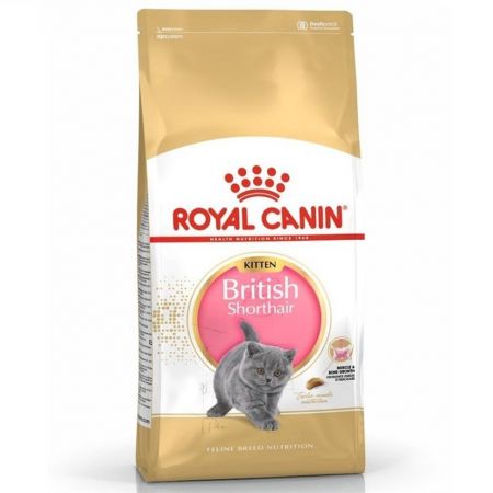 Royal Canin Kitten British Shorthair Yavru Kedi Maması 2 kg
